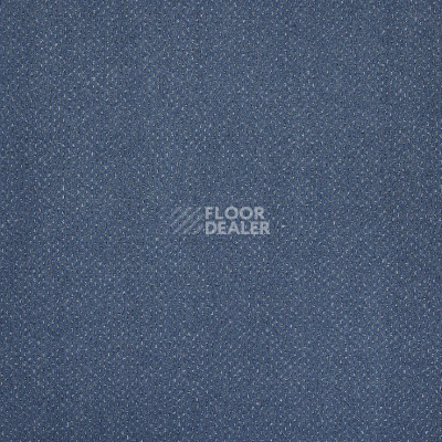 Ковролин Big Carus Vendome 893 фото 1 | FLOORDEALER